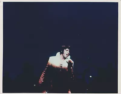 Original Vintage Photo 1970's Elvis Presley In Concert # 3 • $20