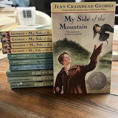 Lot Of 11 My Side Of The Mountain Class Set Guided Reading Book Jean George • $19.99