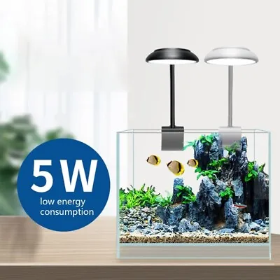 Aquarium LED Light USB Nano Fish Shrimp Tank Light Plants Plant Lamp Natural • £7.66