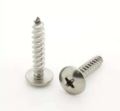 100 Qty #10 X 3/4  Truss Head 304 Stainless Phillips Head Wood Screws (BCP98) • $15.70