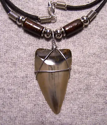 Mako Shark Tooth Necklace 1 1/2  Sharks Teeth Fossil Jaw Megalodon Scuba Diver • $15