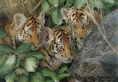 Carl Brenders HIDE & SEEK Tiger Cubs Giclee Paper ARTIST PROOF A/P#9/30 • $219