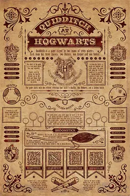 £6.85 • Buy (182) New Maxi Poster Harry Potter Quidditch At Hogwarts Broom Stick