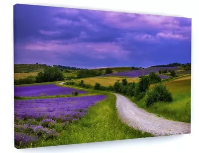 Countryside Lavender Fields Canvas Picture Print Wall Art  • £18.08