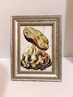 Vintage Botanical Mushroom ArtField Guide Print Cottagecore Style Silver Frame • $18