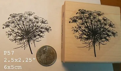 Queen Ann's Lace Flower Rubber Stamp P57 • $12.75