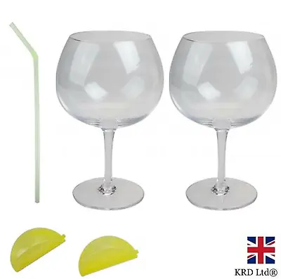 2x Gin Cocktail Glass Gift Set Straw Reusable Lemon Ice Cubes Xmas Drink P779005 • £9.98