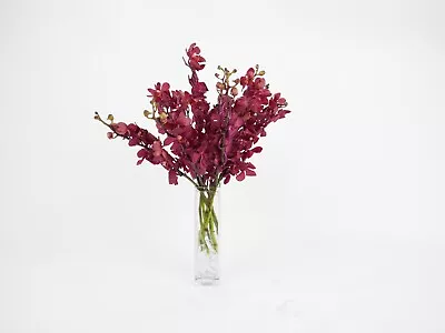 Fresh Deep Red Mokara Cut Orchids - Summer Special!! (Vase Included) • $49.99