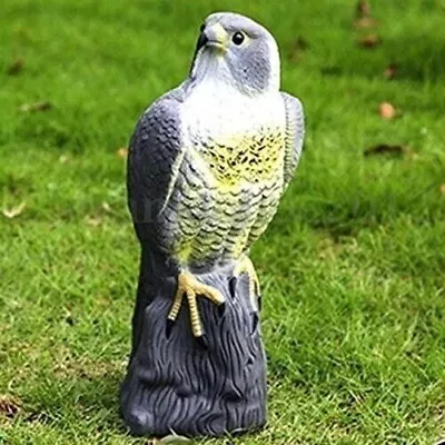 Decoy Falcon Hawk Eagle Deterrant Garden Bird Pest Cat Repeller Pond Scarer 40cm • £10.90