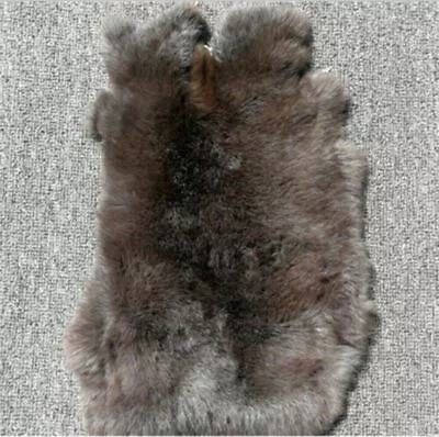 Real Rabbit Fur Skin Pelt Hide Tanned Craft Leather For DIY Animal Training Dyed • $8.54