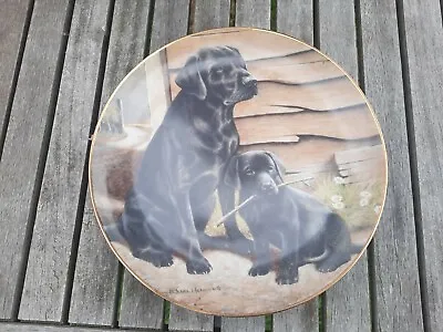 £3 • Buy Black Labrador Decorative Plate Like Father Like Son Nigel Hemming Franklin Mint