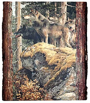 Carl Brenders Ingrained Art Walnut Hollow Wild Life-  Lookout Tower  38872 • $25.45