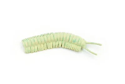 Millipede Cave Plastic Toy Insect Kids Gift Realistic Figure Gift   3  F763 • £4.14
