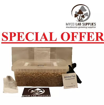 SPECIAL OFFER! Mushroom Grow Kit Rye Grain Grow Your Own Mushrooms Mycology • £13.99