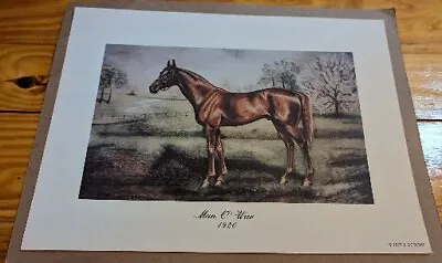 Vintage 1977 Man O War Famous Horse Racing Legend Print By Goodin • $29.99