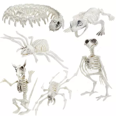 Animal Skeleton & Skull Realistic Bones Scary Halloween Party Props Decorations • £4.95