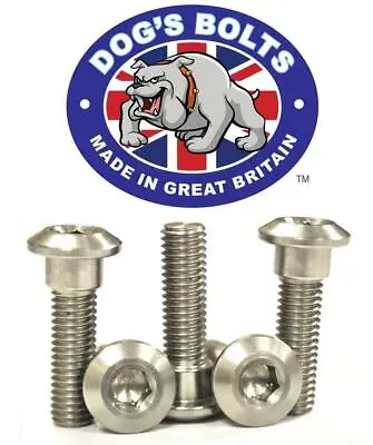 Kawasaki ZRX1200 R / S 01-07 Stainless Steel Rear Brake Disc Bolt Kit • £15