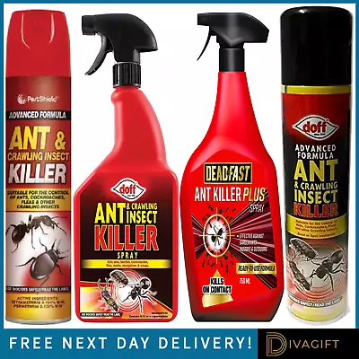 Ant & Insect Killer Spray Aerosol Suitable For Crawling Insects Doff Pestshield • £9.99