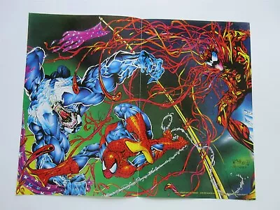 1993 10  X 13  Promo Poster Venom Spider-Man & Carnage Wittman McNabb • $12.99