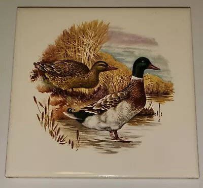 6  Hyalyn 505 Square Mallard Duck Male & Female Trivet Cork Backed - Ultra Rare! • $25.77