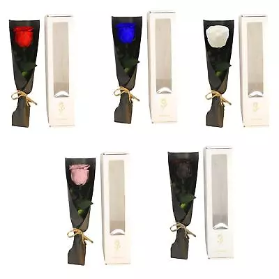 Preserved Flower Rose Flower Gift For Women Valentines Day Decor For Her • $32.23