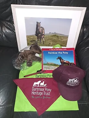 Dartmoor Pony Heritage Trust Goodies Gifts Bundle New • £50