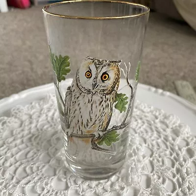 Vintage Mid Century Owl Drinking Glass Gold Rim • $9.99