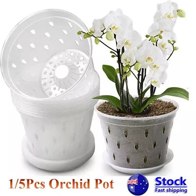 1/5PC Clear Plastic Orchid Pots With Holes Clear Flower Pot Succulents Plant AU • $12.37