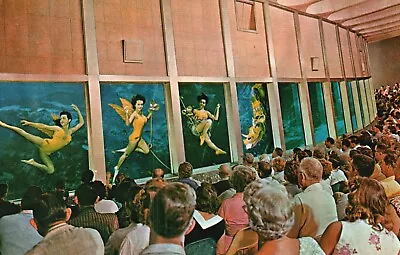 Postcard FL Weeki Wachee Mermaids Underwater Aqua Theater Vintage PC J7472 • $0.47