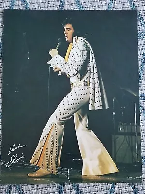 Elvis Concert Picture • $5