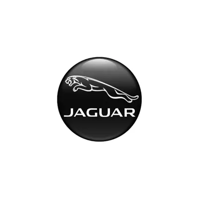 JAGUAR Key Logo Badge 14mm Sticker FOB Remote Emblem Decals • $6.95