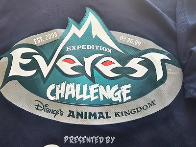 Walt Disney World Run Disney Expedition Everest Challenge - 2009 Shirt - L • $7.99