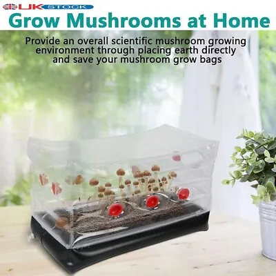 Grow Bag Fresh Air Exchange Mushroom Grow Bag Mushroom Monotub Kit With Plugs • £14.99