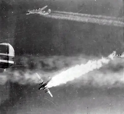 WW2 WWII Photo USAAF B-24 Liberator Bomber Shot Down Munich  World War Two  5858 • $6.49