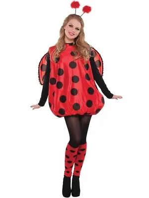 £9.99 • Buy Ladies Darling Lady Bird Costume Adults Bug Fancy Dress Outfit Ladybird STD 8-12