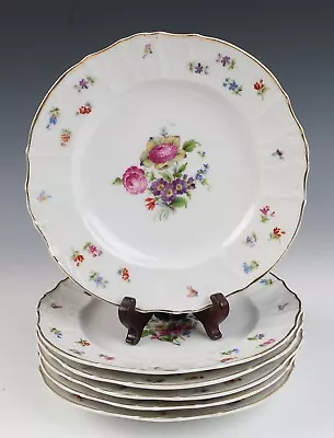 6 Antique Bread Dessert Plates Haas Czjzek Schlaggenwald Dresden Flowers Insect • $40.61