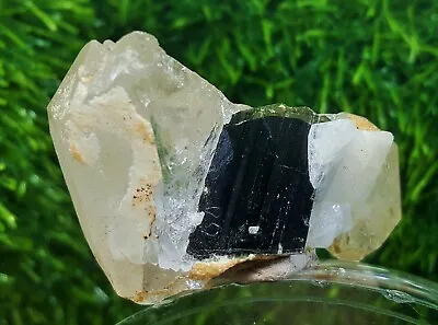 264 Carat Tourmaline Green Cap Rare Crystal With Quartz & Albite From Shigar • $2