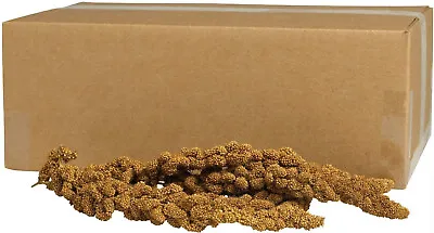 Kaytee Gold Spray Millet For Birds • $54.84