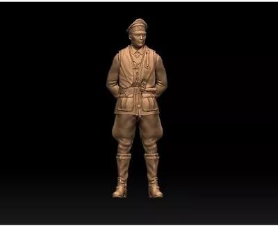 £15 • Buy Ww2 German Officer 1/16th Scale Resin Printed Unpainted 