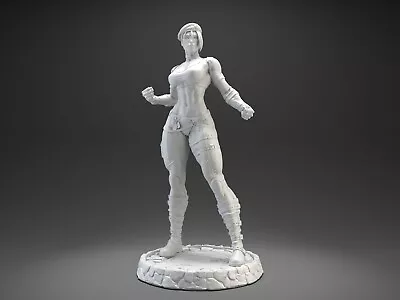 Blade Fighter Sonya Girl Painted Unassembled Resin 3D Printed Model Figure NSFW • $62.65