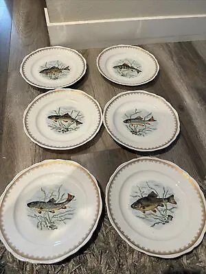 Vintage French Porcelain Couleuvre Ligne Limoise Fish Dinner Plate Set 6 Piece • $159.99