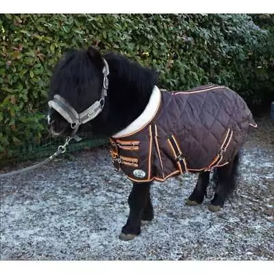 Ruggles Shetland-Miniature-Donkey-Section A 200g Stable Rug With Fleece Collar • £51