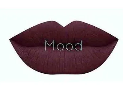 Dose Of Colors Liquid Matte Lipstick Mood New Color Vegan Authentic Cosmetic Nib • $21.95