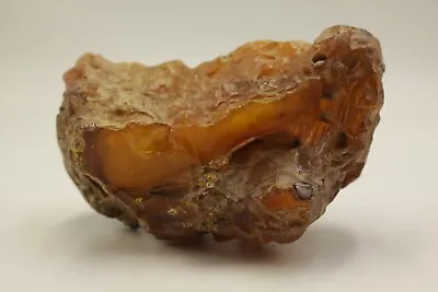 Raw Baltic  Amber Stone 258g Natural Rough Tesbih Misbah Kahraman From Ukraine • $350