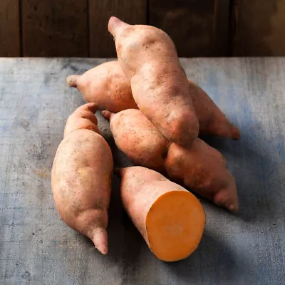 Sweet Potato 'Compact Orange' Plug Plant X 6. Grow Your Own Sweet Potatoes Yams • £14.95