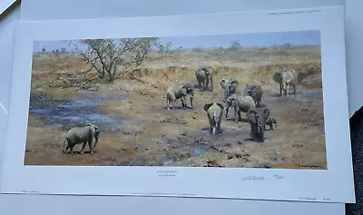 African Waterhole David Shepherd Limited Edition Print Elephant • £135