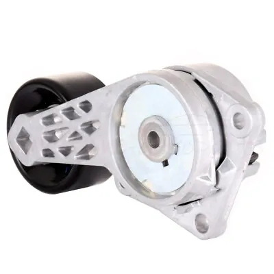 Serpentine Belt Tensioner W/Pulley For Ford F-150 E-350 Super Duty 1997-2005 • $31.27