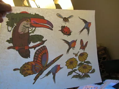 £11.92 • Buy BIRDS & BUTTERFLIES   Full Size Iron On T Shirt Transfer Vintage 70s Item NOS