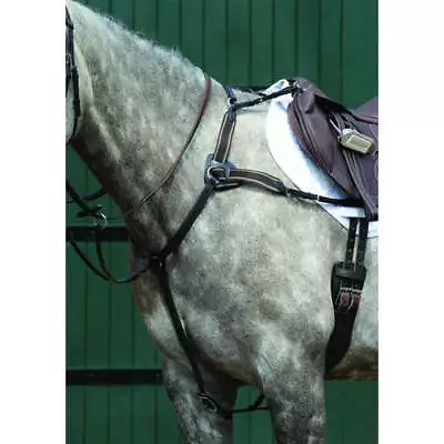 Collegiate Essential 5-Point Breastplate CLOSEOUT • $119.95