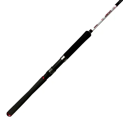 Atomic Arrowz Rod • $139